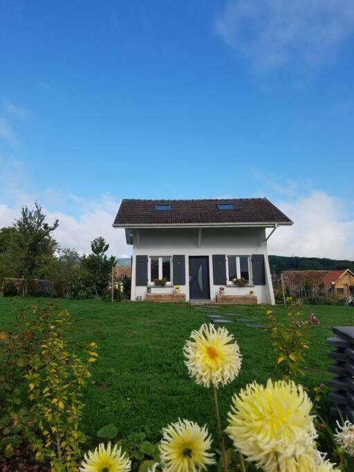 Gite Le Charmot, Au Pied Des Montagnes Classe 3* Roderen Dış mekan fotoğraf