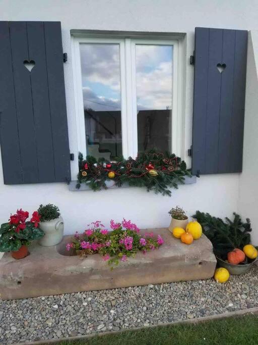 Gite Le Charmot, Au Pied Des Montagnes Classe 3* Roderen Dış mekan fotoğraf